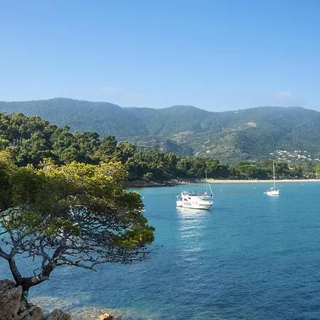 Studio 5 Pers. En Bord De Mer 70942 * Six-Fours-les-Plages